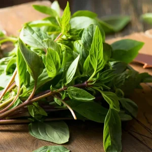 Thai Basil Seeds - Heirloom Culinary Herb, 250 Seeds Packet, Aromatic & Flavorful - Image 1