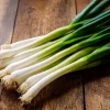 Tokyo Long White Bunching Onion Seeds - 200 Seeds for Garden & Cooking - Image 1