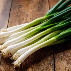 Tokyo Long White Bunching Onion Seeds - 200 Seeds for Garden & Cooking - Image 1