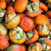 Turks Turban Pumpkin Seeds - 10 Heirloom Decorative & Edible Winter Squash - Image 1