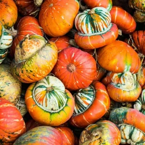 Turks Turban Pumpkin Seeds - 10 Heirloom Decorative & Edible Winter Squash - Image 1