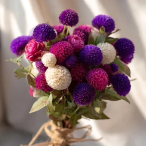 Twilight Purple Globe Amaranth Seeds - 50 Seeds, Long-Lasting Purple Blooms, Outdoor - Image 4
