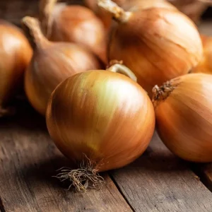 Utah Yellow Onion Seeds - 200 Heirloom Long Day Allium cepa Seeds for Garden - Image 3