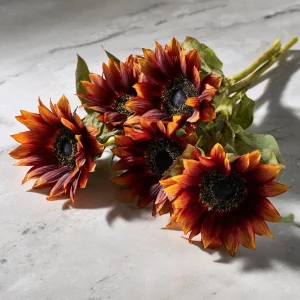 Velvet Queen Sunflower Seeds 25 Count - Heirloom Helianthus annuus for Gardens - Image 3