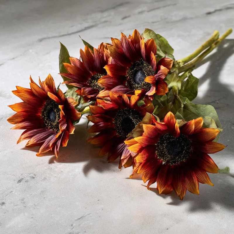 Velvet Queen Sunflower Seeds 25 Count - Heirloom Helianthus annuus for Gardens - Image 3