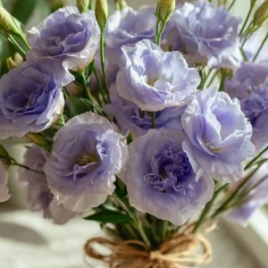 Voyage 2 Lavender Lisianthus Seeds - Pale Eustoma Grandiflorum - 25 Seed Pack - Outdoor Flower - Image 2