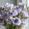 Voyage 2 Lavender Lisianthus Seeds - Pale Eustoma Grandiflorum - 25 Seed Pack - Outdoor Flower - Image 1