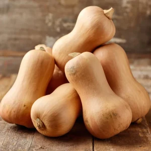 Waltham Butternut Squash Seeds - 25 Seeds - Sweet Winter Squash - Image 3