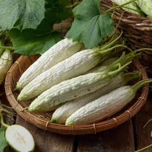 White Bitter Gourd Seeds – Heirloom Ivory Bitter Melon Seeds for Asian Cuisine – 10 Seeds - Image 2
