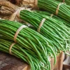 Yard Long Bean Seeds - 15 Count - Asian Vegetable Garden - Easy-to-Grow - Image 1