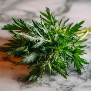 Yomogi Japanese Mugwort Seeds - Artemisia princeps Heirloom Herb - 30 Seeds - Image 4