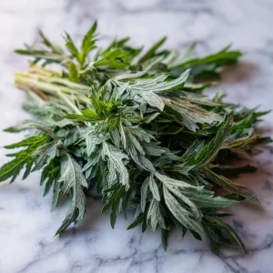 Yomogi Japanese Mugwort Seeds - Artemisia princeps Heirloom Herb - 30 Seeds - Image 5