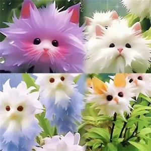 20+ Fragrant Cat-Faced Orchid Seeds - Exotic Flower Varieties for Pots - Image 2