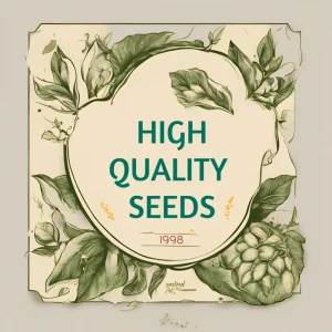 200+ Cilantro Seeds Non-GMO - Coriander, Culantro, Ngò Gai Herb Seeds for Garden & Indoor - Image 5