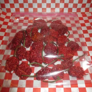 24 Dried Carolina Reaper Pods - Super Hot Chili Pepper Pack - Image 2