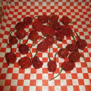 24 Dried Carolina Reaper Pods - Super Hot Chili Pepper Pack - Image 1