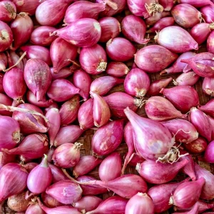 4oz Premium Red Shallot Bulbs for Planting - Gourmet Flavor - Image 1