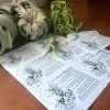 Air Plant Care Sheet Digital Download - Printable PDF Guide for Tillandsia - Image 1