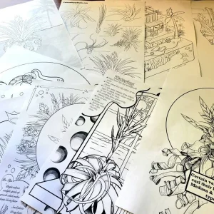 Air Plant Educational Coloring Sheets - Set of 10 Digital Download, Tillandsia Educational Activities - Image 3