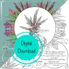 Air Plant Educational Coloring Sheets - Set of 10 Digital Download, Tillandsia Educational Activities - Image 1