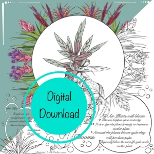 Air Plant Educational Coloring Sheets - Set of 10 Digital Download, Tillandsia Educational Activities - Image 1