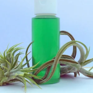 Air Plant Fertilizer 2oz Concentrated Liquid Plant Food Tillandsia - Image 1