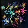 Air Plant Tillandsia Mix Live Plants - Random Assortment, 2-8" Size - Image 1