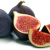 Black Mission Fig Tree - Ficus Carica Live Plant, 2-5 inches tall, Zones 7-10 - Image 1