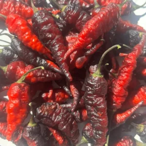 Black Naga Twister Super Hot Pepper Live Plants - Lot of 3 (75+ Days Old) - Image 3