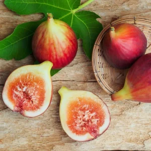 Brown Turkey Fig Tree Live Plant - Ficus carica - 5-9 inch Starter - Cold Hardy - Image 4