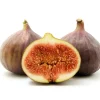 Brown Turkey Fig Tree Live Plant - Ficus carica - 5-9 inch Starter - Cold Hardy - Image 1