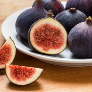 Chicago Hardy Fig Tree Live Plant - Cold Hardy Ficus carica 5-9 inches Tall - Sweet Edible Fruit for Zones 5-10 - Image 4