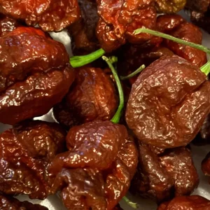 Chocolate Dragon's Breath Super Hot Pepper Live Plants - 3 Pack, 75+ Days Old, 4-8 inches tall - Image 1