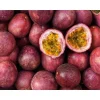 Cold Hardy Panama Red Passion Fruit Vine - Live Starter Plant 4-6 Inches Tall - Image 1