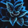 Coleus Seeds – Rare Blue, Black & Green Foliage, 20 Pcs - Indoor/Outdoor - Image 1