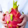 Dragon Fruit Plant Cuttings & Seeds - Grow Your Own Pitahaya, Tropical Fruit Plant - Image 1