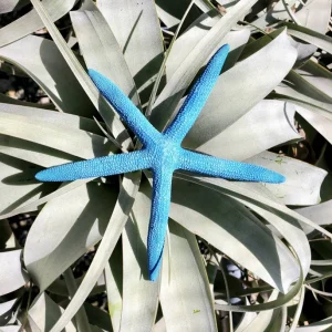 Dyed Blue Starfish - Natural Beach Decor & Coastal Accent - Image 2