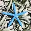 Dyed Blue Starfish - Natural Beach Decor & Coastal Accent - Image 1