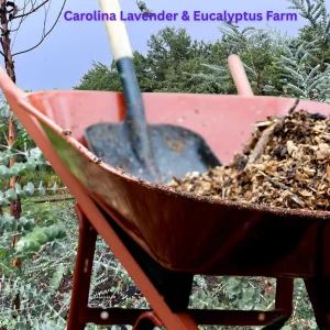 Eucalyptus Mulch - Aromatic Natural Ground Cover for Gardens & Planters, 1 Gallon - Image 2