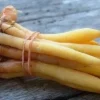 Finger Root Live Plant - Chinese Ginger Starter Plant 4-6 inches - Krachai Herb - Image 1