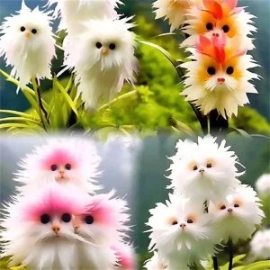 Fragrant Cat Orchid Seeds - 35+ Large Flower Potted Garden Plant Seeds - Image 3