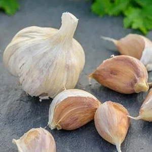 German Red Garlic Seeds - 500+ Non-GMO Seeds for Planting - Fast Growing, Perennial - Image 5