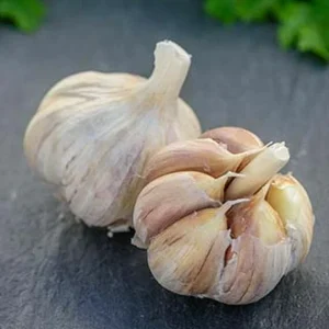 German Red Garlic Seeds - 500+ Non-GMO Seeds for Planting - Fast Growing, Perennial - Image 6