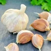 German Red Garlic Seeds - 500+ Non-GMO Seeds for Planting - Fast Growing, Perennial - Image 1
