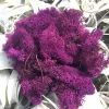 Grape Cranberry Purple Reindeer Moss - 2 OZ Bag Terrarium Decor - Image 1