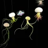 Hanging Air Plant Kit with 3 Sea Urchin Shells & 3 Live Air Plants – Fully Assembled - Image 1