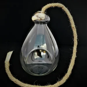 Hanging Air Plant Terrarium Kit – Coastal Decor – Live Air Plants – 7x6 Inch Glass - Image 3