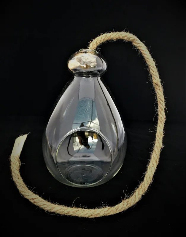 Hanging Air Plant Terrarium Kit – Coastal Decor – Live Air Plants – 7x6 Inch Glass - Image 3
