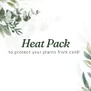 Heat Pack Plant Warmer - Thermal Protection for Shipping Live Plants - Image 1