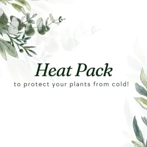 Heat Pack Plant Warmer - Thermal Protection for Shipping Live Plants - Image 1
